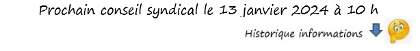 Conseil_Syndical Reunions Priska