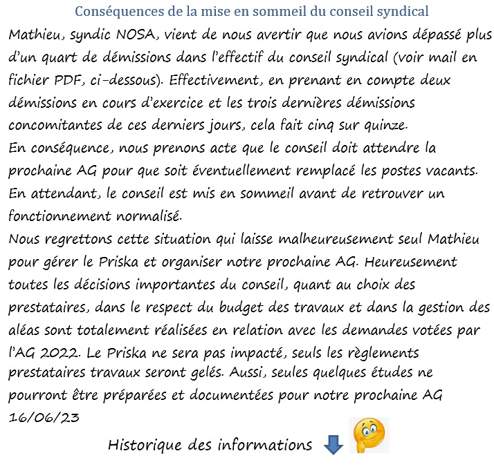 Conseil_Syndical Reunions Priska