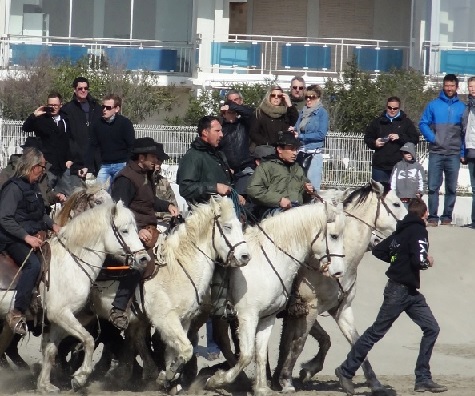 Evenements Abrivado Priska