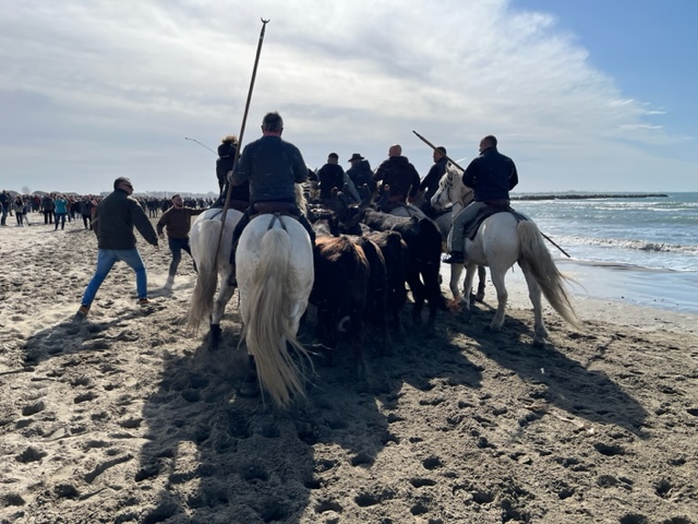 Evenements Abrivado Priska